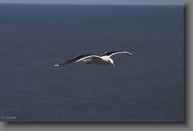 CRW_8820-01.jpg